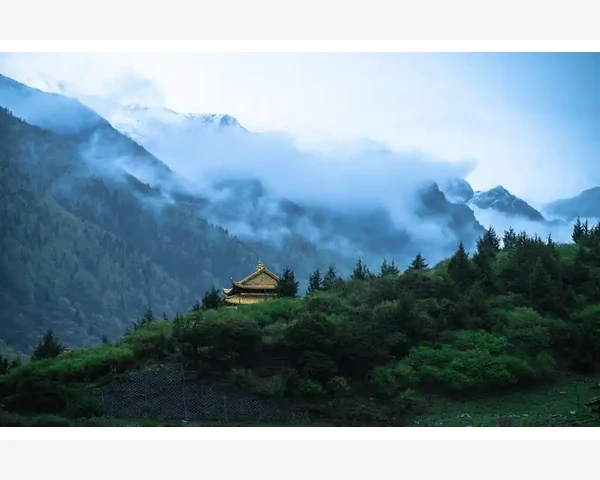 面肌痉挛针灸多久见效?专家为你解答