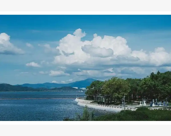 养肝草健脾胃汤的正确熬制方法